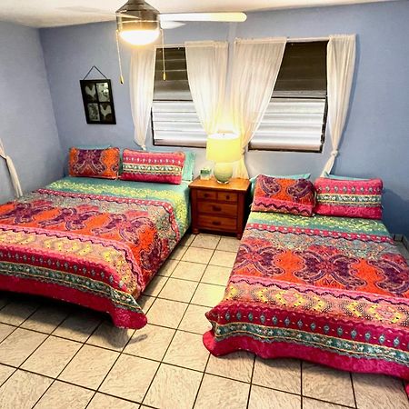 Esperanza Inn Guesthouse (Adults Only) Vieques Værelse billede