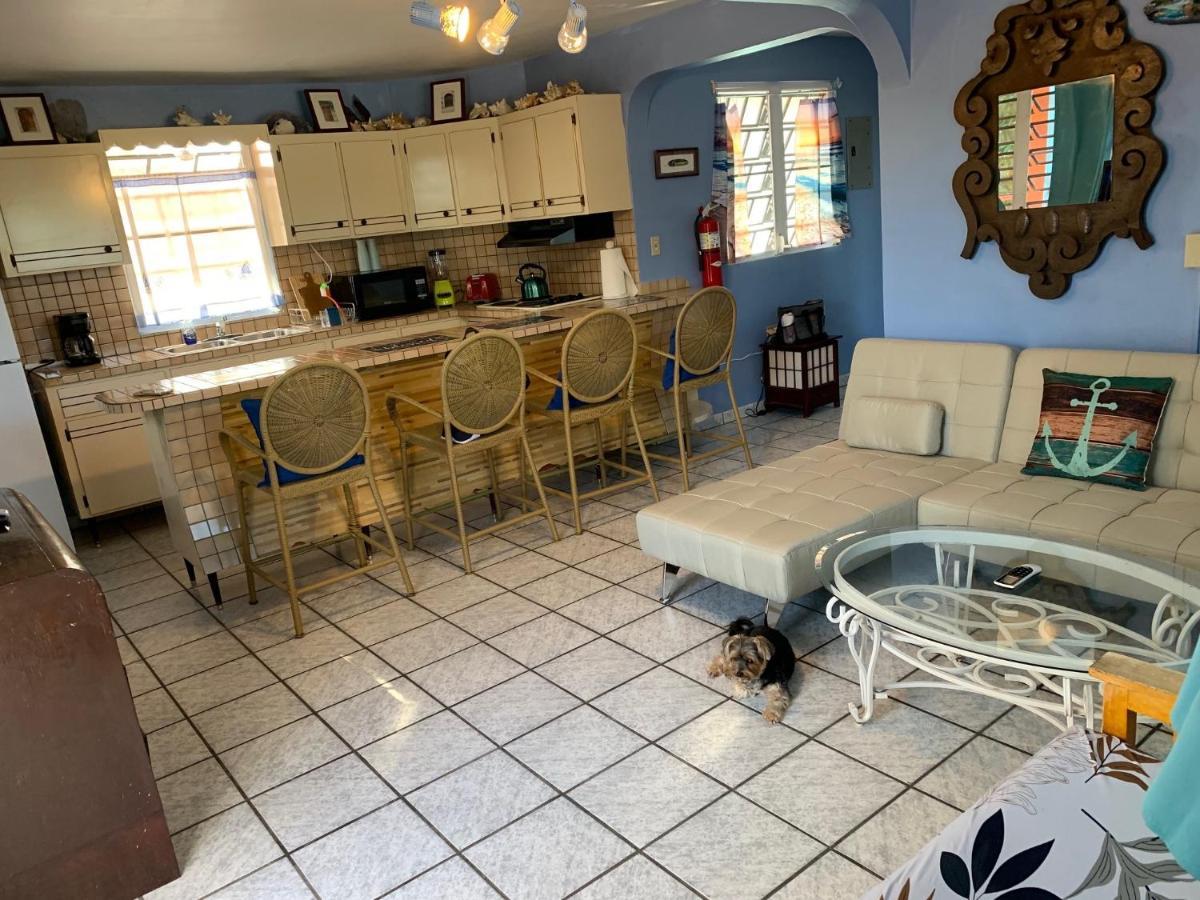 Esperanza Inn Guesthouse (Adults Only) Vieques Eksteriør billede