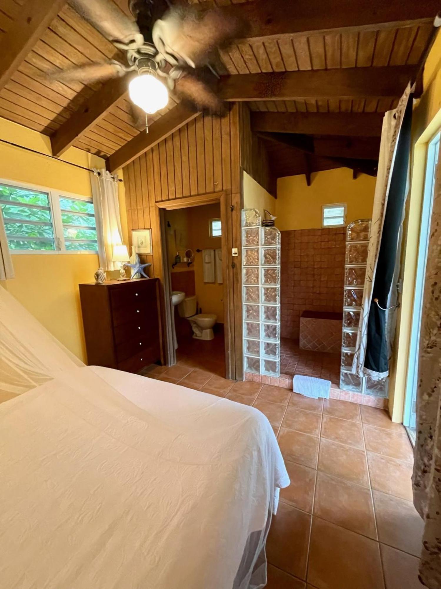 Esperanza Inn Guesthouse (Adults Only) Vieques Værelse billede